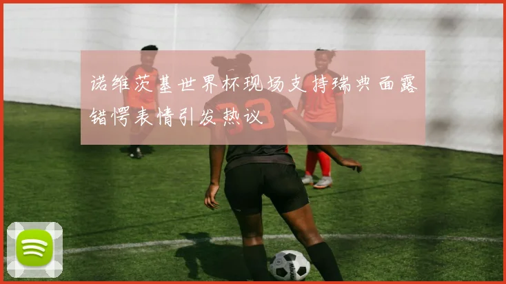 诺维茨基世界杯现场支持瑞典面露错愕表情引发热议